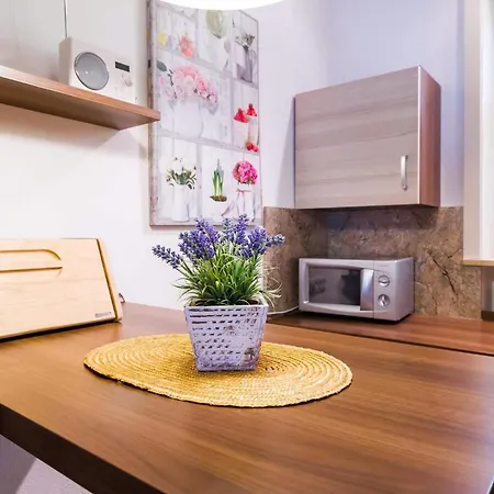 Apartment Grosse In Oberschoenau Mit Garten *